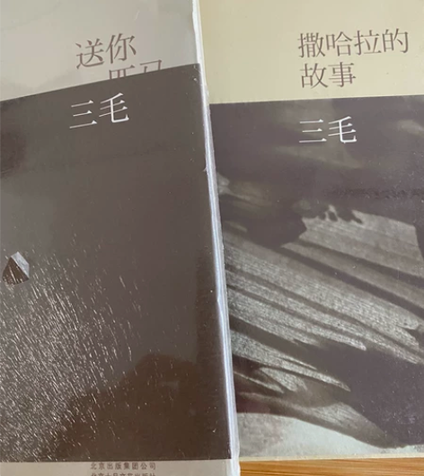 三毛正版书籍两本 全新未开封 包邮