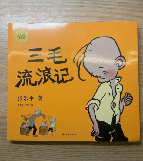 三毛流浪记 中小学生阅读指南目录 全新 感...
