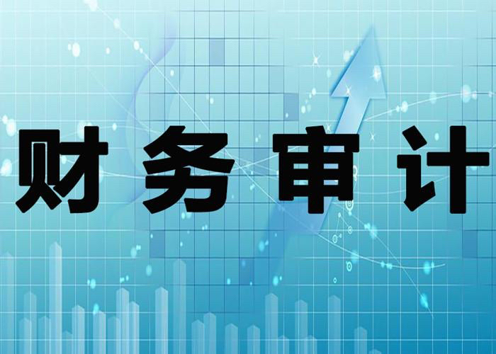 财务审计咨询  管理咨询 考试咨询