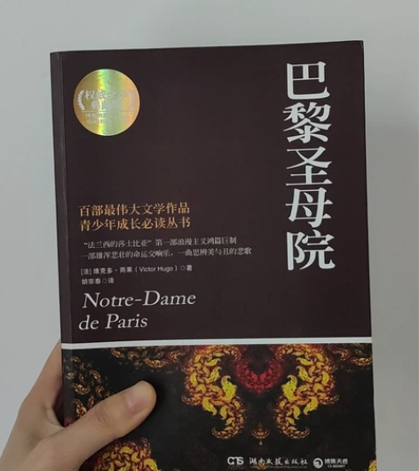 《巴黎圣母院》权威全译典藏版，新华文轩大书...