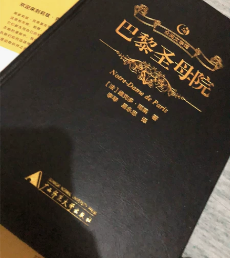 巴黎圣母院 全新书店买来没看过 感兴趣的...