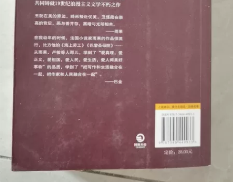 《巴黎圣母院》书籍便宜卖! 几乎全新,维克...