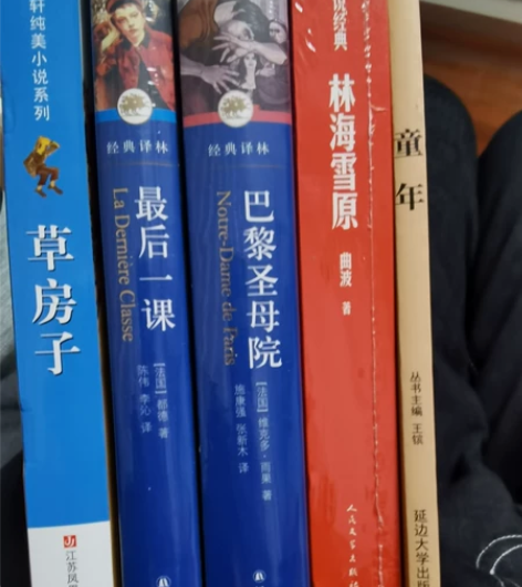 童年,林海雪原,巴黎圣母院,最后一课,草房...