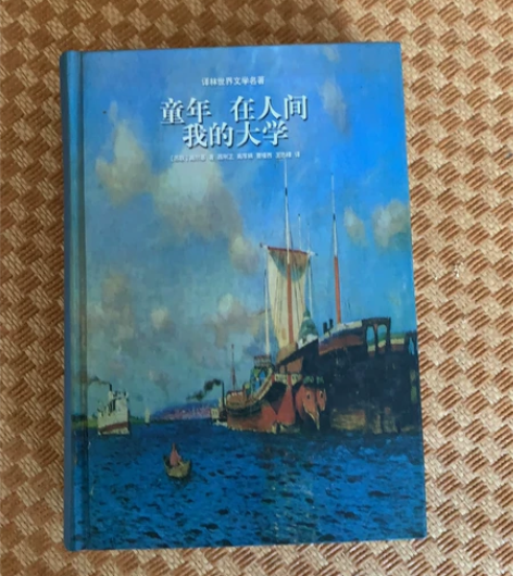 童年 在人间 我的大学 8成新 包邮 感兴...