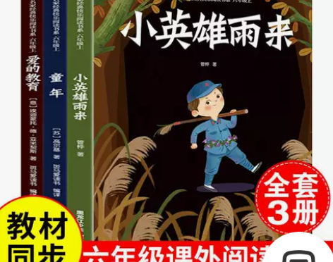 童年爱的教育小英雄雨来快乐读书吧六年级上册...