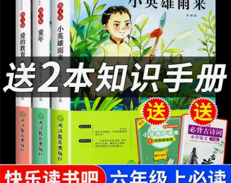 童年爱的教育小英雄雨来快乐读书吧六年级上册...