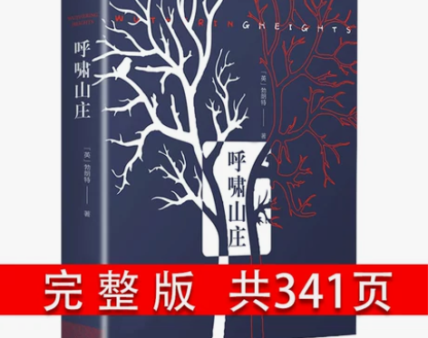 共341页呼啸山庄 正版 中文版 艾