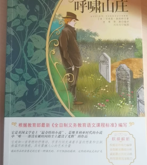 《呼啸山庄》正版几乎全新，孩子翻过，无笔记...