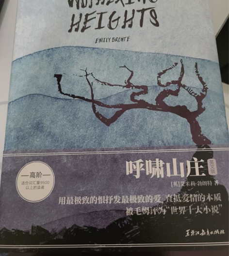呼啸山庄英文版，全新 薄荷阅读版本，不喜欢...
