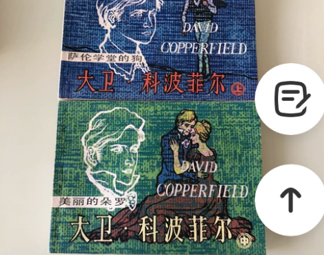 大卫科波菲尔连环画 两本50出 品新线装,...