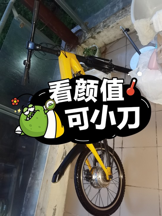 品牌型号 正步助动自行车，原价3600多，