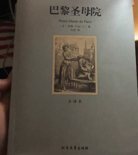 巴黎圣母院 译者:王岩 开本:16开