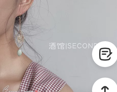酒馆家耳环 百年孤独，浮雕法式网红耳环 耳...
