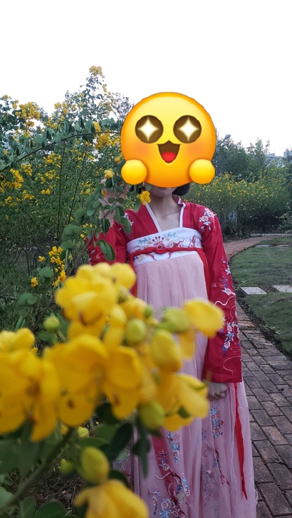 锦鲤汉服女魏晋中国风学生齐胸襦裙唐制重工绣...