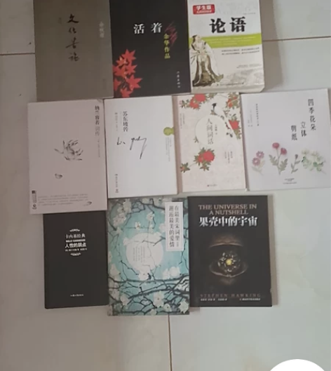 文化苦旅，活着，论语，纳兰容若词传，苏东坡...