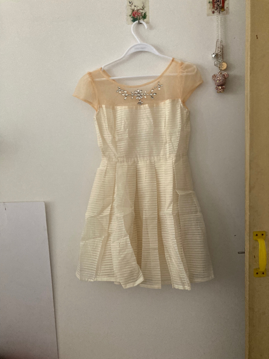 全新带吊牌S码公主连衣裙。 装饰是线缝的所...