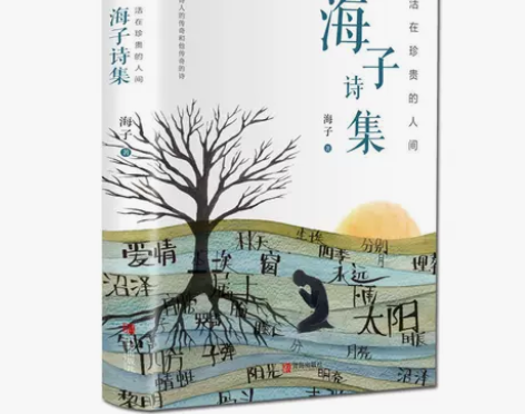 海子诗集 活在珍贵的人间 海子的诗 海子...