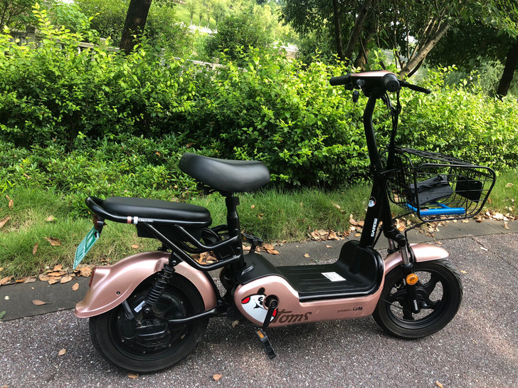郴州本市(第一家顺风)电动车出售~出租(日...