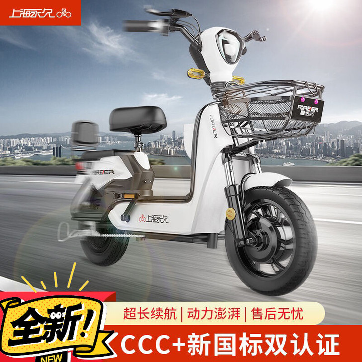 全新 永久电动车新款