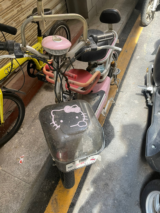 绿源48v小毛驴，老婆回老家后，长时间不用...