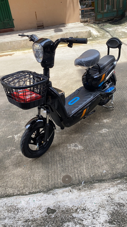 雅迪同款电动车 48V