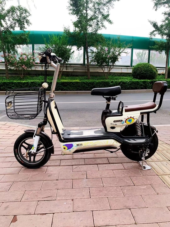 电动车爱玛  买一送五