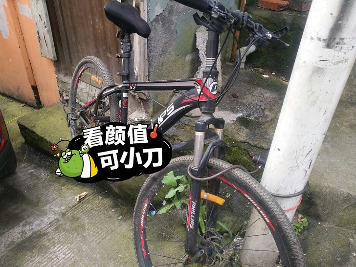 快高中毕业了,以后不骑了,219便宜卖了,...