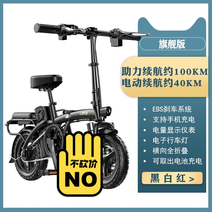 名顶电动折叠车