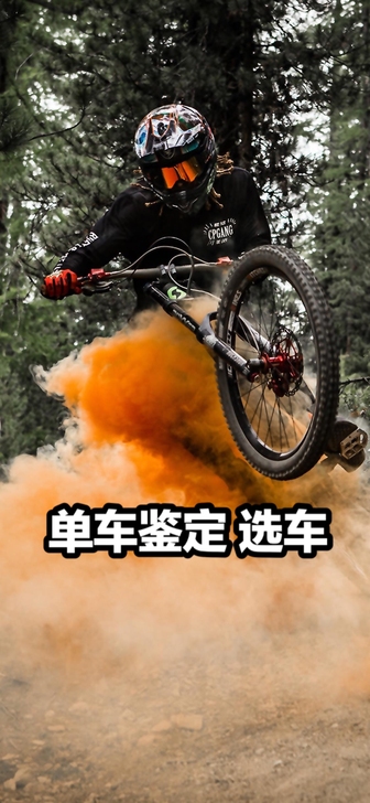 山地公路车鉴定 估价选车(江苏地区)