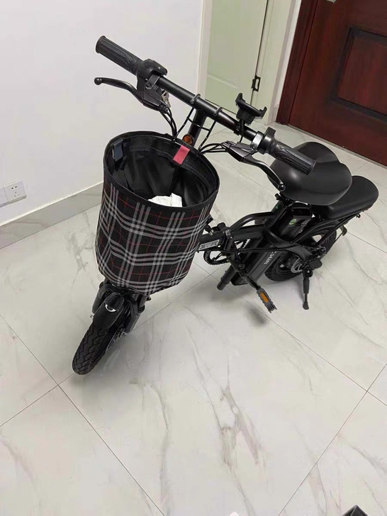 尊尚 电动自行车