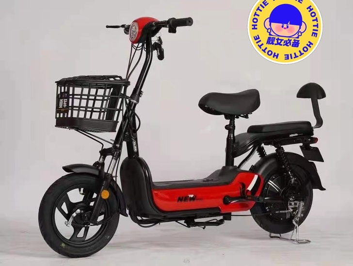 标价就是实价，电动车全新的，48伏12安锂...