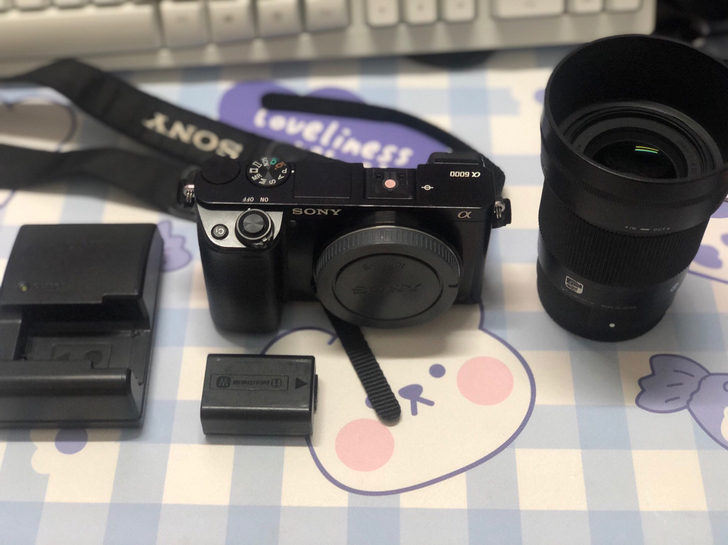 索尼a6000 微单相机（适马30mm 1...