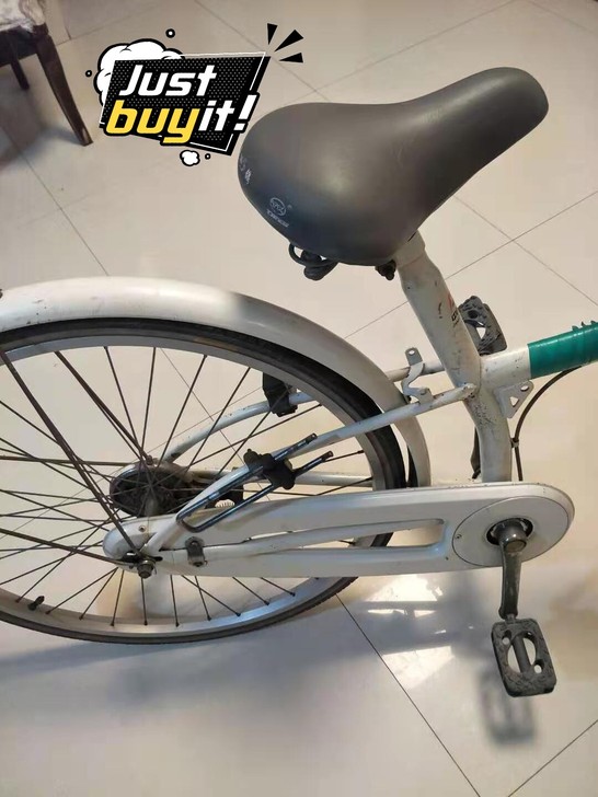 飞鸽  女士  自行车