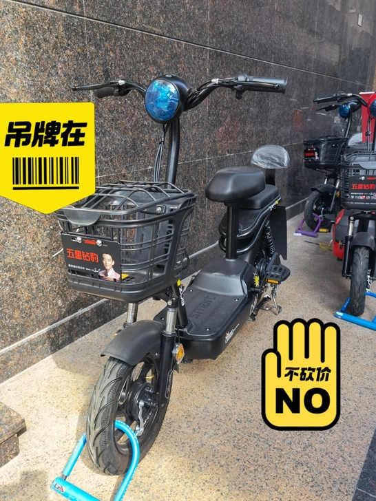 五星砖豹电瓶车 明星郑恺代言大品牌 全新 ...