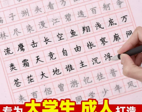 成人楷书字帖钢笔正楷临摹成年大学生练字帖