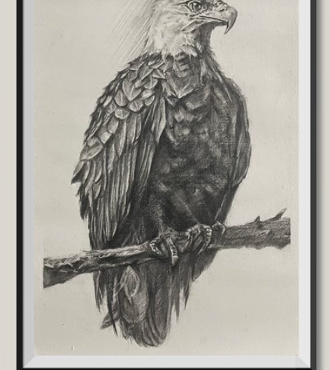 手绘素描作品，雄鹰（带画框8K大） 感兴趣...