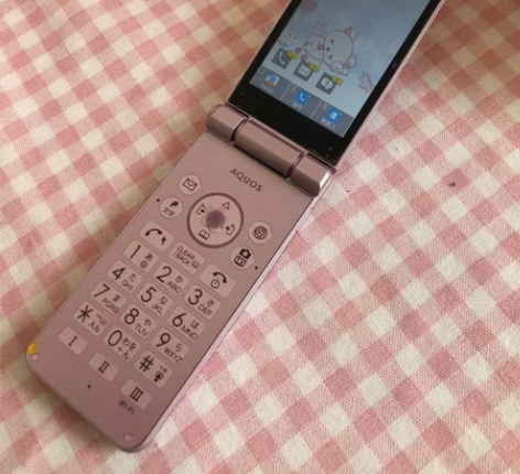 夏普601sh翻盖手机，21年2月入手，买...