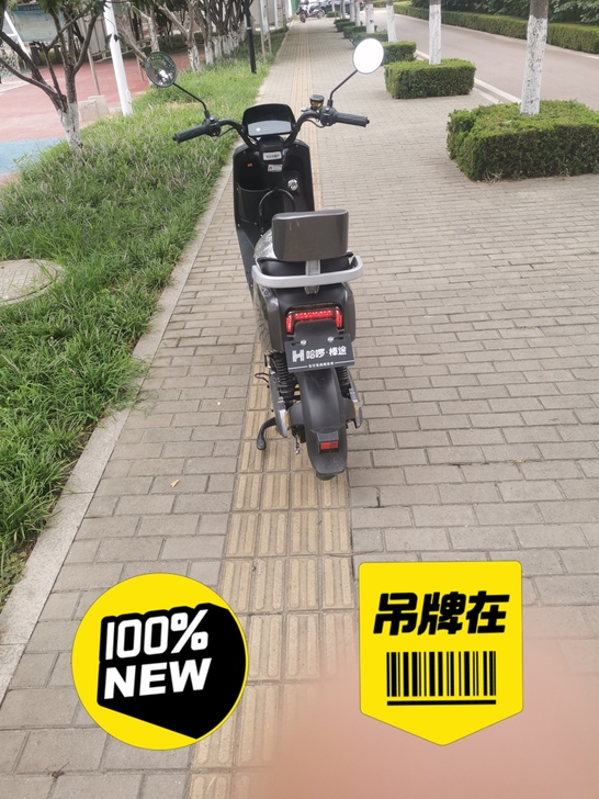 全新 品牌型号 哈啰电轻摩,app智能解锁...