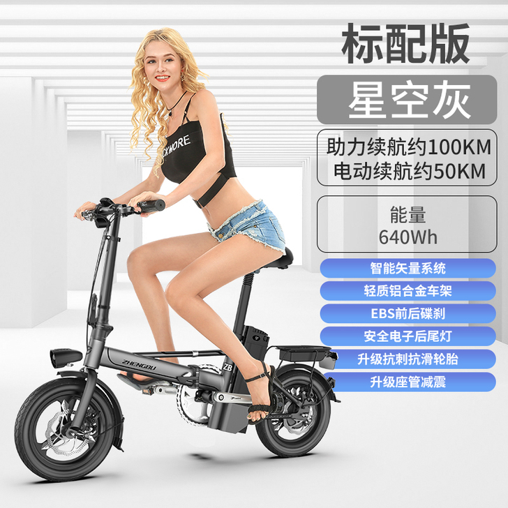 ZB/正步 电动自行车