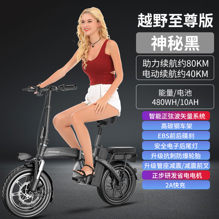 【双11狂欢价】正步 新国标折叠电动自行车...