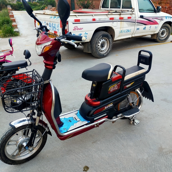 小鸟大架子电动车9成新,48V20蓄电池速...