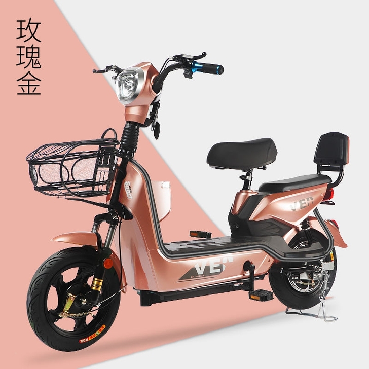 [全新包邮]思帝诺新国标48V新款电动车电...