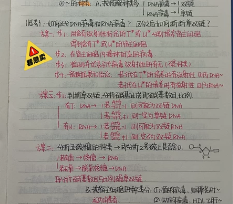 最 全 高 中 生 物 优秀 笔 记,字体...