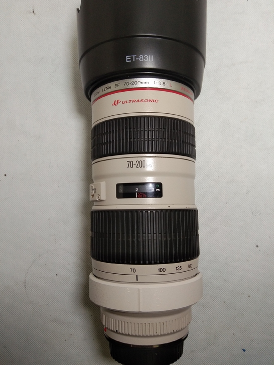 佳能70－200mm1:2.8L小白一代不...