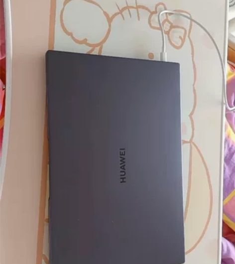 HUAWEI MateBook D 14 ...