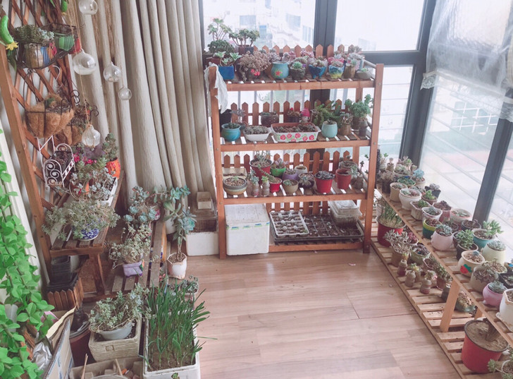 多层室外阶梯置物吊兰花架，炭化防腐木。