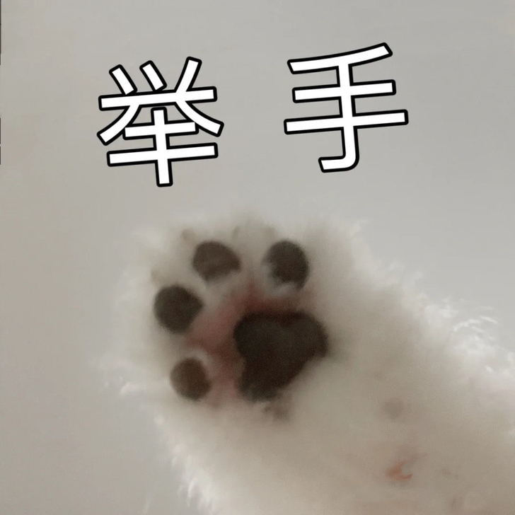 AI音乐学院50元奖学金