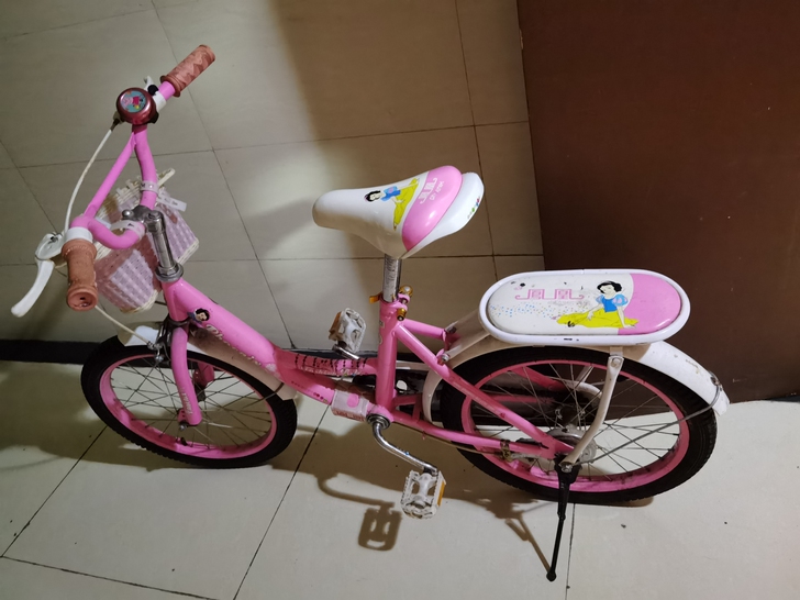 转手原因 孩子骑着小了