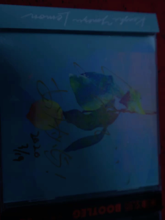 米津玄师亲笔签名