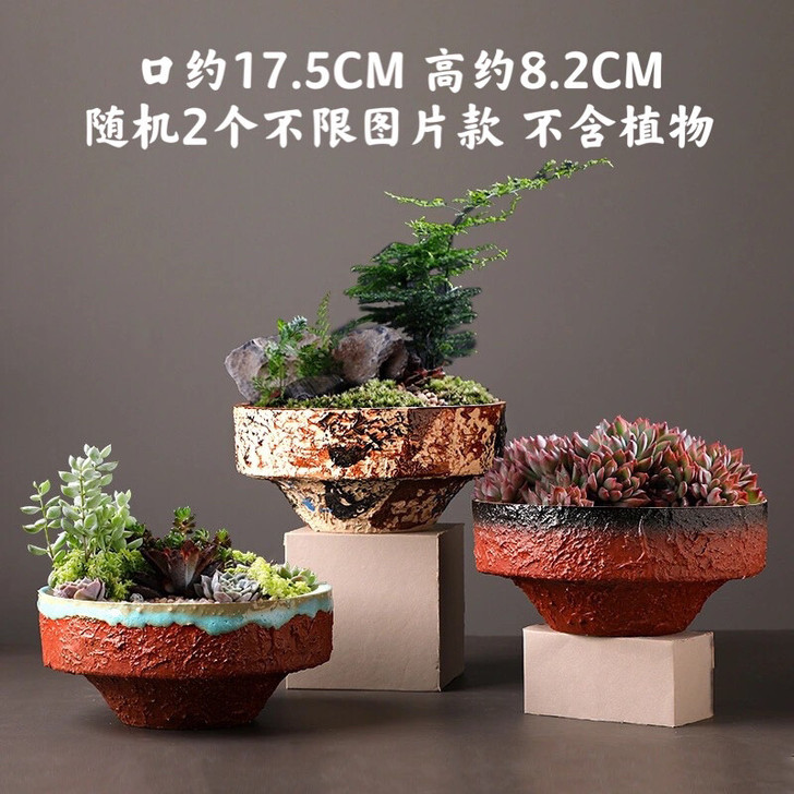 2个仅11.99元多肉粗陶大口径透气花盆 ...